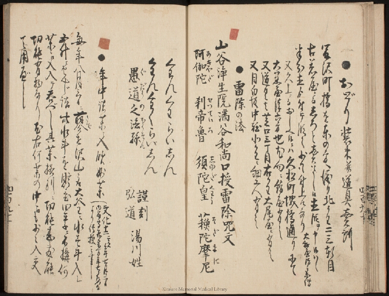 疫病除之薬 - ページ 12