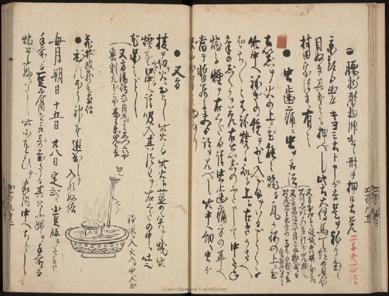 疫病除之薬 - ページ 13