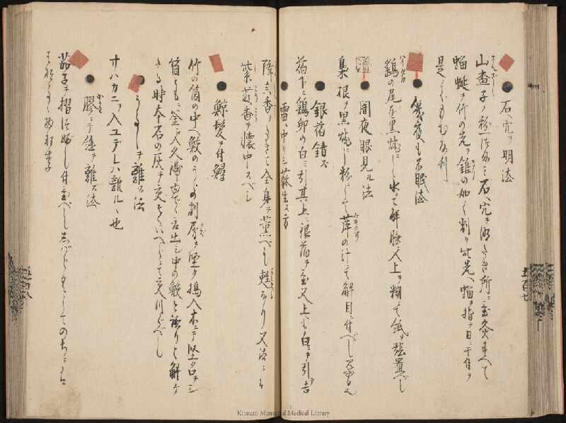 疫病除之薬 - ページ 29