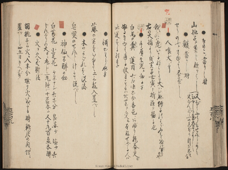 疫病除之薬 - ページ 30