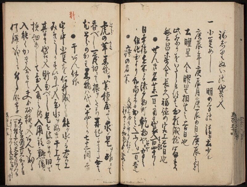 疫病除之薬 - ページ 66